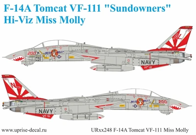UR48248  декали  F-14A Tomcat VF-111 Pt.1 Supeer CAG and Miss Molly  (1:48) 2000002140801
