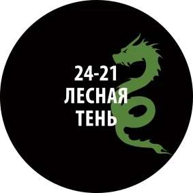 24-21  нанесение эффектов  Проливка Лесная тень. 30мл 2000002200024