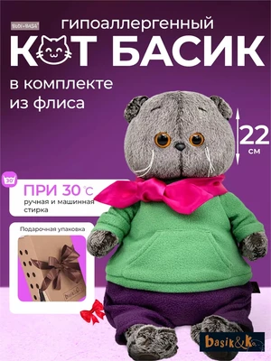Кот Басик 22 см в комплекте из флиса (ОРИГИНАЛ) 253648688