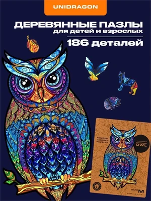 Пазл деревянный Чарующая Сова 187 деталей 1002862626