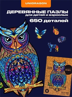 Пазл деревянный Чарующая Сова 650 деталей 1006255150