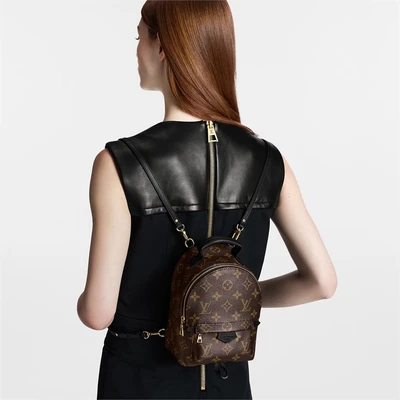 Рюкзак Louis Vuitton Palm Springs Mini Monogram, коричневый 1451240