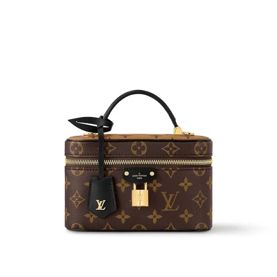 Сумочка Vanity Chain Louis Vuitton, коричневый 22191176