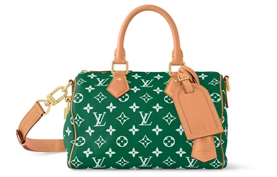 LOUIS VUITTON Сумка 27973409