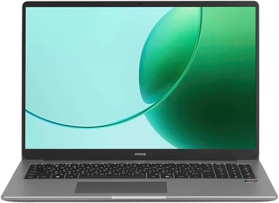16" Ноутбук HONOR MagicBook X16 AMD 2025 серый 5633159