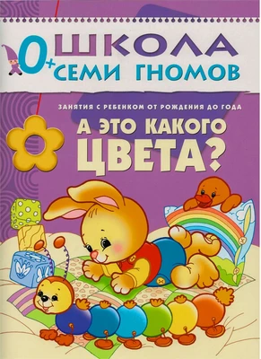 ШСГ Первый год обучения. А это какого цвета? 9785875000000