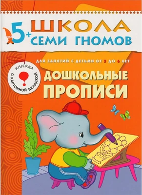ШСГ Шестой год обучения. Дошкольные прописи. 9785896000000