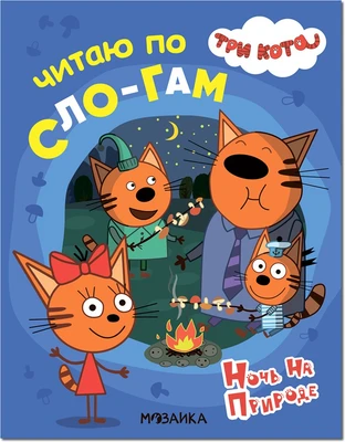 Три кота. Читаю по слогам. Ночь на природе 9786053000000