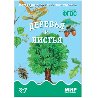 Мир в картинках. Деревья и листья. Наглядно-дидактическое пособие в папке 9786753000000