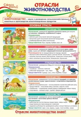 ПО-14403 Плакат А3. Окружающий мир в 4 классе. Отрасли животноводства 569266670