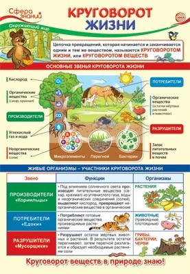 ПО-13973 Плакат А3. Окружающий мир в 3 классе. Круговорот жизни 953385896