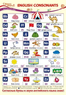 ПО-13586 Плакат А3. Английский язык во 2 классе. English Consonants (Английские согласные) 1339030710
