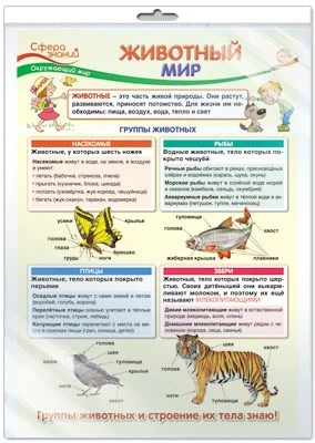 *ПО-13407 ПЛАКАТ А3 В ПАКЕТЕ. Окружающий мир в 1 классе. Животный мир (в индивидуальной упаковке, с европодвесом и клеевым клапаном) 213510277