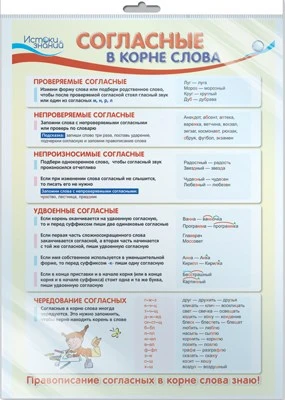 *ПЛ-12902 Плакат А3. Согласные в корне слова (в индивидуальной упаковке с европодвесом и клеевым клапаном) 849488177