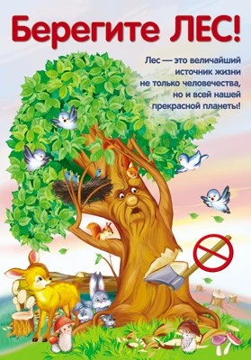 ПЛ-10684 Плакат А3. Берегите ЛЕС! 165936730