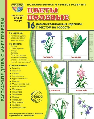 Дем. картинки СУПЕР Цветы полевые. 16 демонстрационных картинок с текстом В ПАПКЕ (173х220 мм) 926139301