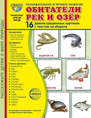 Дем. картинки СУПЕР Обитатели рек и озер. 16 демонстрационных картинок с текстом В ПАПКЕ (173х220 мм) 1587844361
