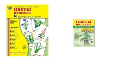*Комплект. Дем. картинки СУПЕР Цветы полевые (2 формата: 173х220 и 63х87) 1044378659
