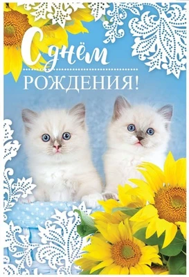 З-12155 Открытка среднего формата. С Днем Рождения! Текст, пластизоль 411413392