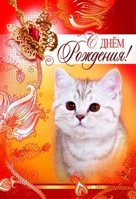 З-8775 Открытка среднего формата. С Днем рождения! Текст (красная фольга) 2075650875