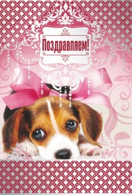 З-10273 Открытка среднего формата. Поздравляем! Текст (серебряная фольга) 2108106195