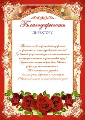 Ш-6526 Благодарность директору (для принтера, картон 200 г 967707822