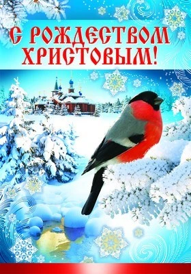 ПЛ-8212 Плакат А3. С Рождеством Христовым! 1583834201