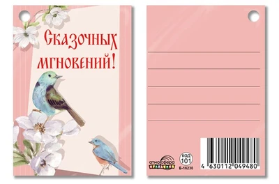 Б-16230 Бирка. Сказочных мгновений! 1590302490