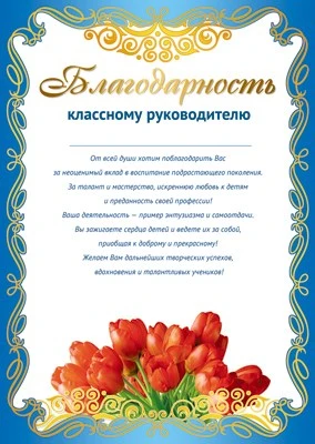 Ш-11185 Благодарность Классному руководителю (для принтера, картон 200 г 266739302
