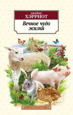 Вечное чудо жизни (мягкая обложка) 953733486
