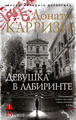 Девушка в лабиринте (мягкая обложка) 1749875403