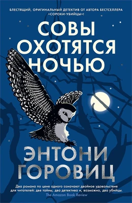 Совы охотятся ночью (твердый) 334628485