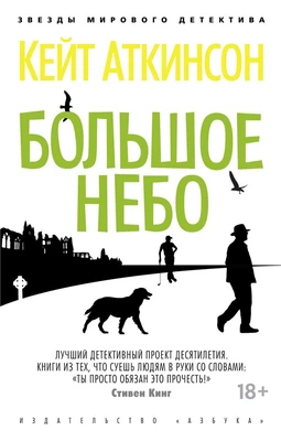 Большое небо (мягкая обложка) 1703255391