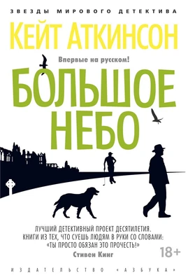 Большое небо (твердый) 529986520