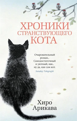 Хроники странствующего кота (The Big Book (мягкая обл)) 1867127383