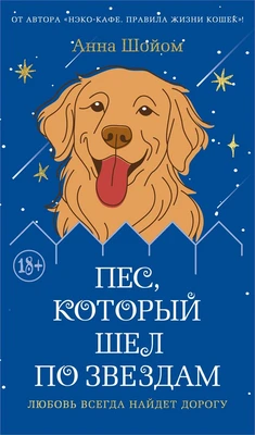 Пес, который шел по звездам 1623311293