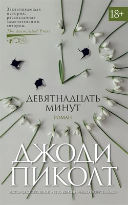 Девятнадцать минут (мягкая обложка) 947913521