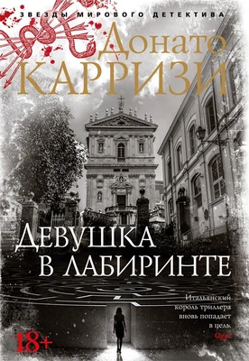 Девушка в лабиринте (твердый) 1648542129