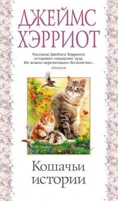 Кошачьи истории (твердый) 1933766340