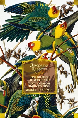 Три билета до Эдвенчер. Под пологом пьяного леса. Земля шорохов 582839789