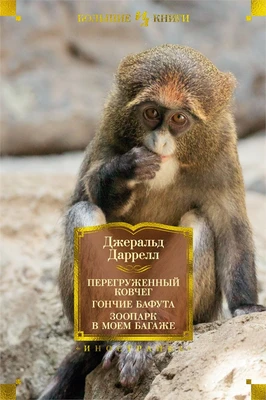 Перегруженный ковчег. Гончие Бафута. Зоопарк в моем багаже 2031216397