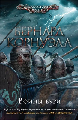Воины бури 1645519111