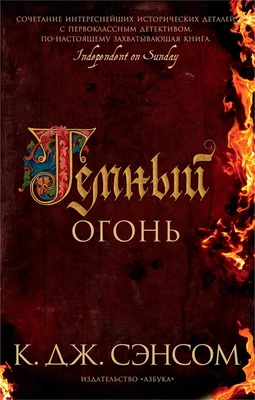 Темный огонь (мягкая обложка) 727241361