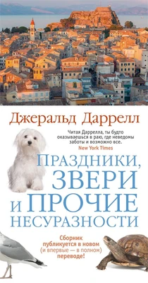 Праздники, звери и прочие несуразности 939044449