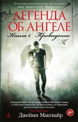 Легенда об ангеле. Книга 1. Провидение (твердый) 1398386386