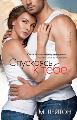 Плохие парни. Книга1. Спускаясь к тебе (твердый) 1863457313