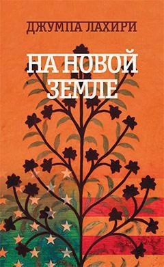 На новой земле 179013289