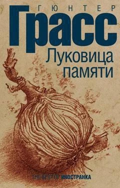 Луковица памяти 1690530498