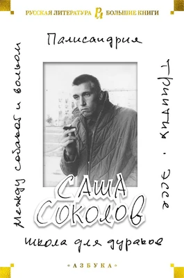 Школа для дураков. Между собакой и волком. Палисандрия. Триптих. Эссе 460822589