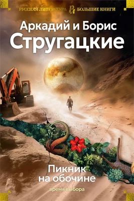 Пикник на обочине. Время выбора 114944349